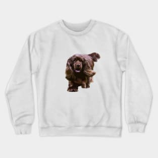 Sussex Spaniel - Beautiful Dog Crewneck Sweatshirt